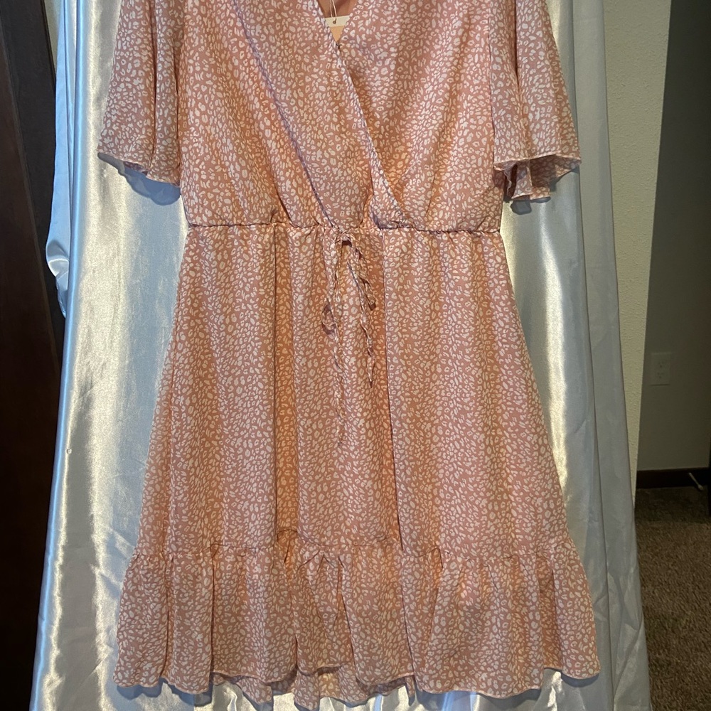 Pink Ruffle Dress - Picture 2 of 4